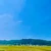 サムネイル 6