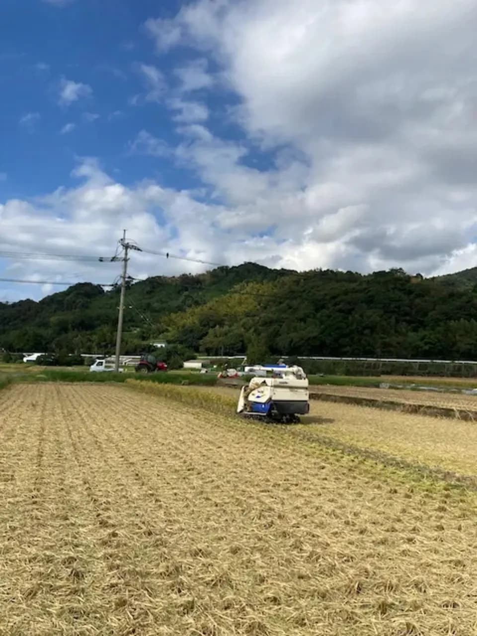 【玄米】令和年7産 / ヒノヒカリ （無農薬・無肥料）