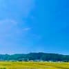 サムネイル 6