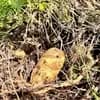 サムネイル 8