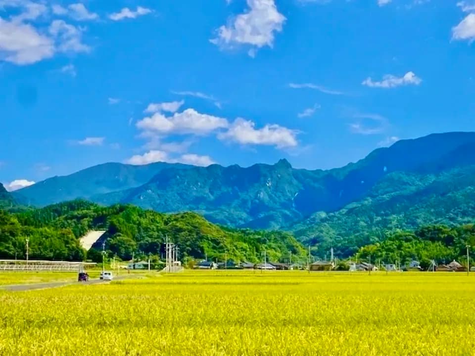 【玄米】令和7年産 / 神力  （無農薬・無肥料）