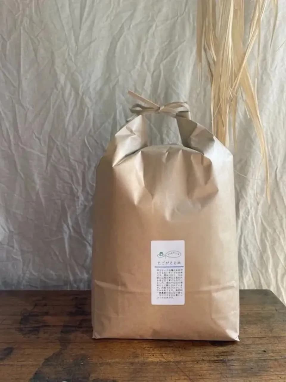 【玄米】令和7年産 / 神力  （無農薬・無肥料）