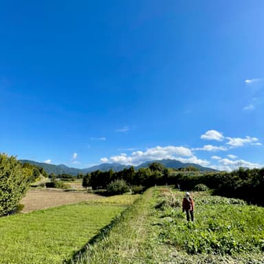 海を渡り、山を眺め、大地に立つ