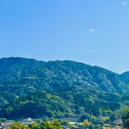 お米の在庫につきまして