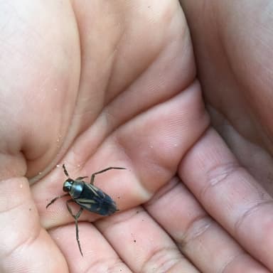 年の瀬の生き物たち