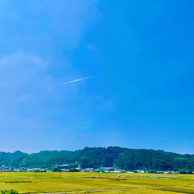 稲刈り前半編