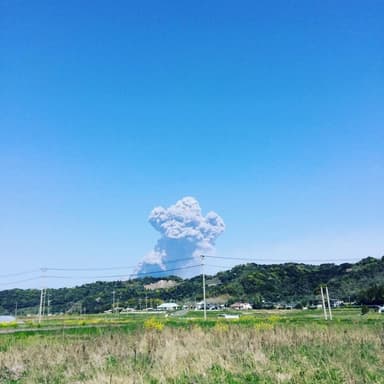 田んぼ作業も蓮華も菜花も、色々やってます！