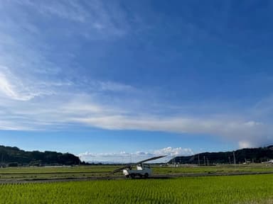発送作業かなり遅れております。