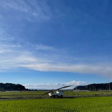 発送作業かなり遅れております。