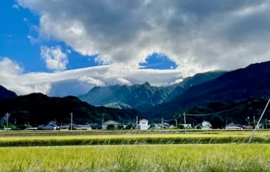 改めて今年のお米をご注文くださった皆様ありがとうございます。