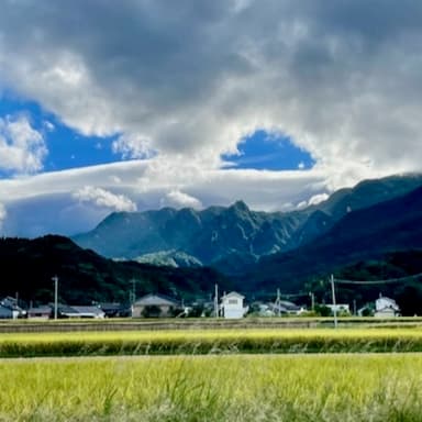 改めて今年のお米をご注文くださった皆様ありがとうございます。