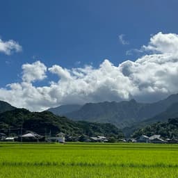 2026年夏のお天気について
