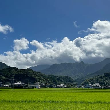 2026年夏のお天気について