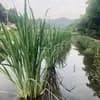 サムネイル 7