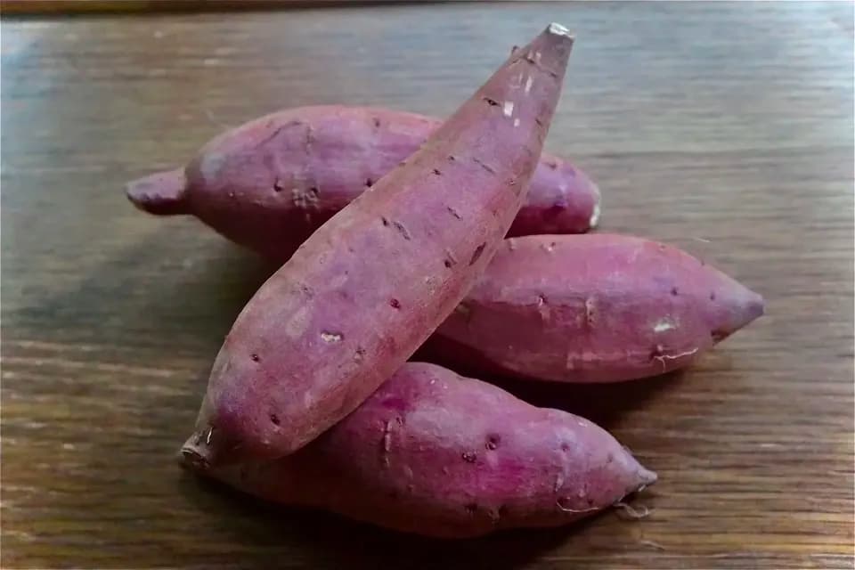 【メール便OKご家庭用】京丹波の自然栽培べにはるかの干し芋＜芋の香＞無肥料・無農薬栽培の柔らかねっとり干し芋