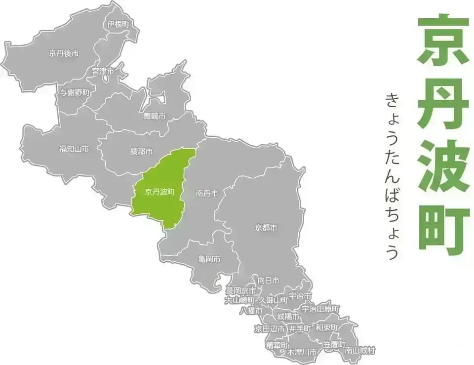 【メール便OKご家庭用】京丹波の自然栽培べにはるかの干し芋＜芋の香＞無肥料・無農薬栽培の柔らかねっとり干し芋