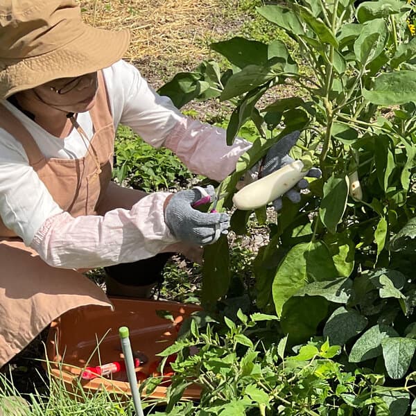 Natural＆Organic発酵おやつとぱんの森野茶房plusプロフィール画像