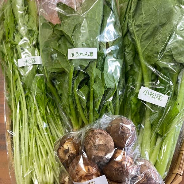旬の野菜詰め合わせ