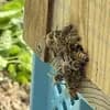 サムネイル 8