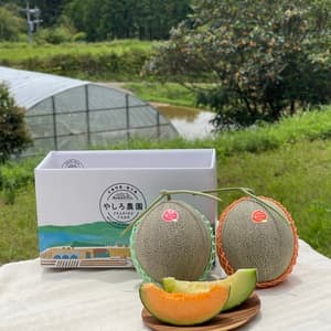 【6/10頃発送】父の日限定 椿メロン2玉セットの口コミ・レビュー(キノシタさん)