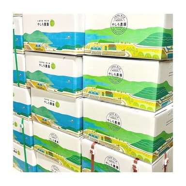 椿メロンをお届けするギフト箱のこと