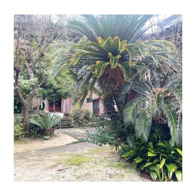 春の訪れ　春分の日