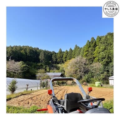 4月1日今日は作業びより