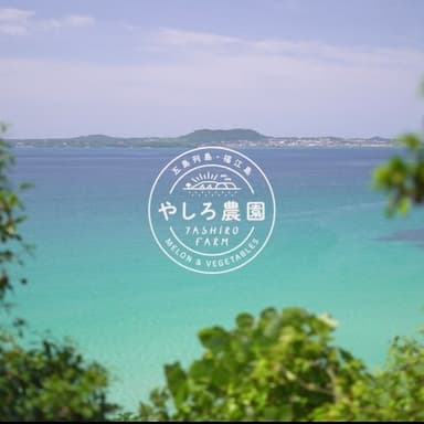 もっとわかる椿メロンの事