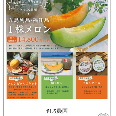 椿メロンを余すことなく