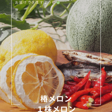 椿メロンのはじまり