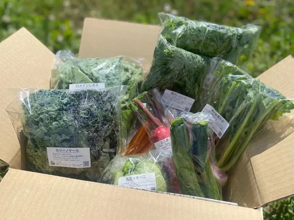 【八ヶ岳の麓で育てた季節の彩り野菜セット】農薬・化学肥料不使用（送料込み）