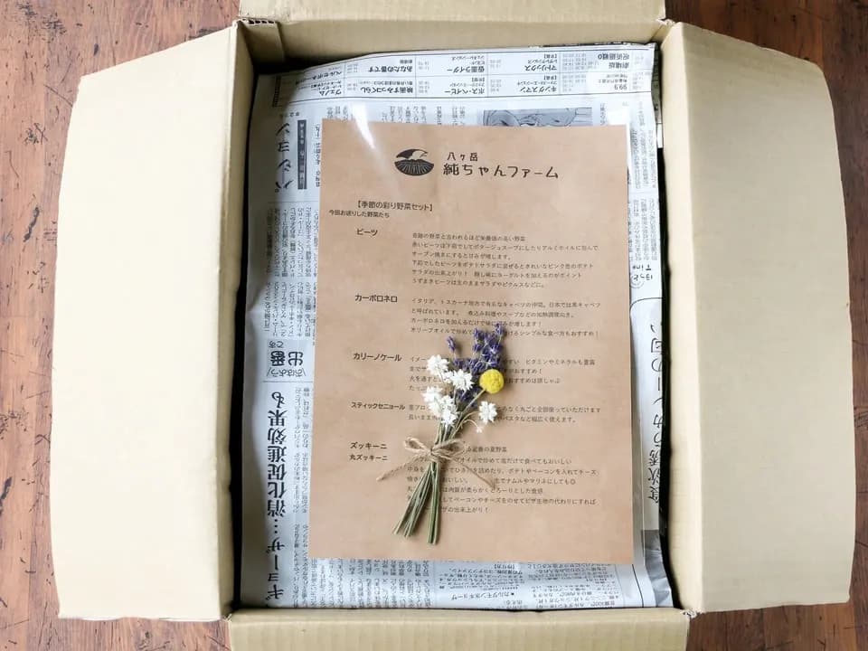 【八ヶ岳の麓で育てた季節の彩り野菜セット】農薬・化学肥料不使用（送料込み）