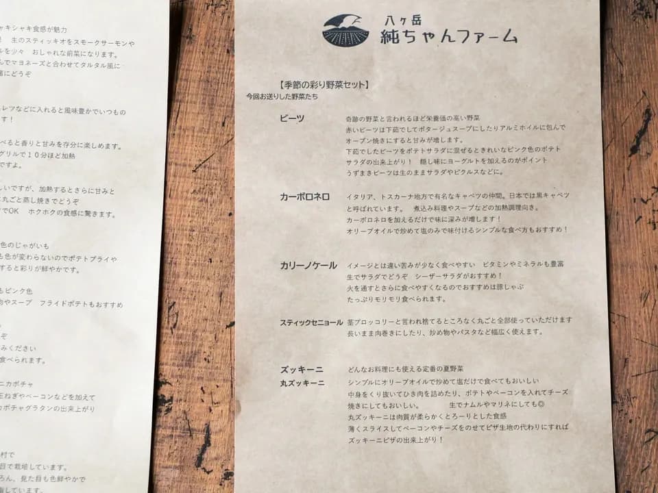 【八ヶ岳の麓で育てた季節の彩り野菜セット】農薬・化学肥料不使用（送料込み）