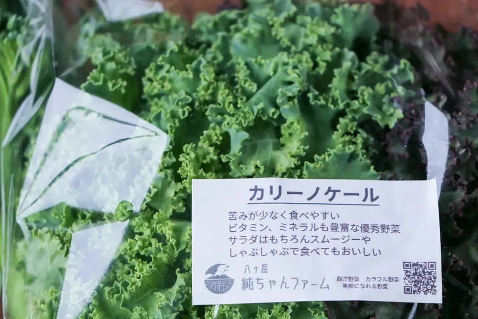【八ヶ岳の麓で育てた季節の彩り野菜セット】農薬・化学肥料不使用（送料込み）