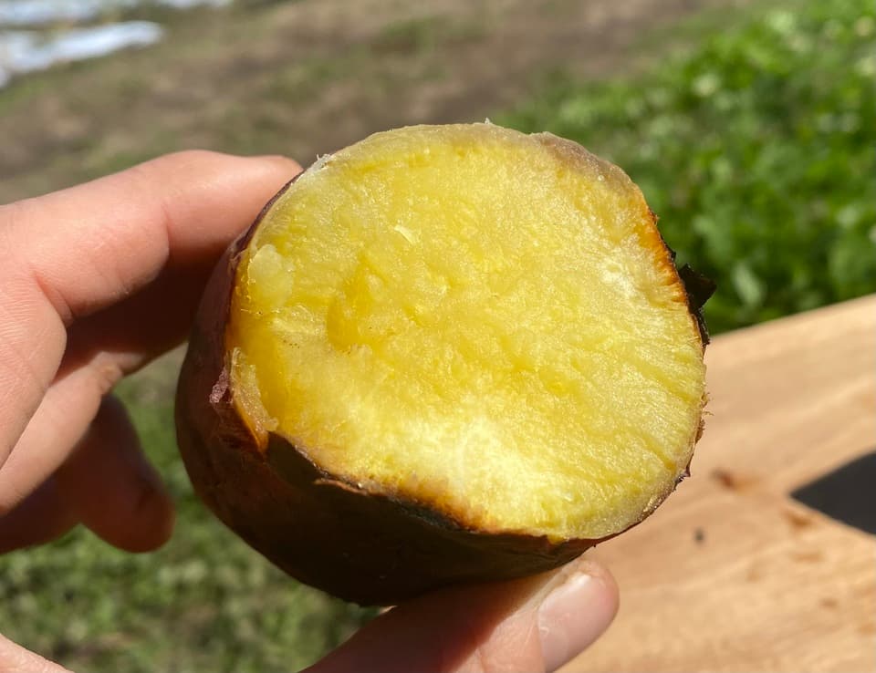 とっても甘ーい　八ヶ岳の自然が育んだサツマイモ食べ比べセット　３㎏