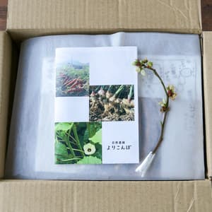 【ギフト】からだ温め野菜セット