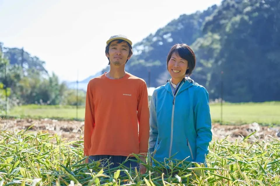 お正月お野菜セット【農薬・化学肥料 不使用】