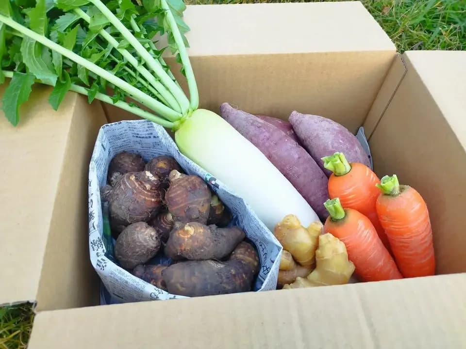 お正月お野菜セット【農薬・化学肥料 不使用】
