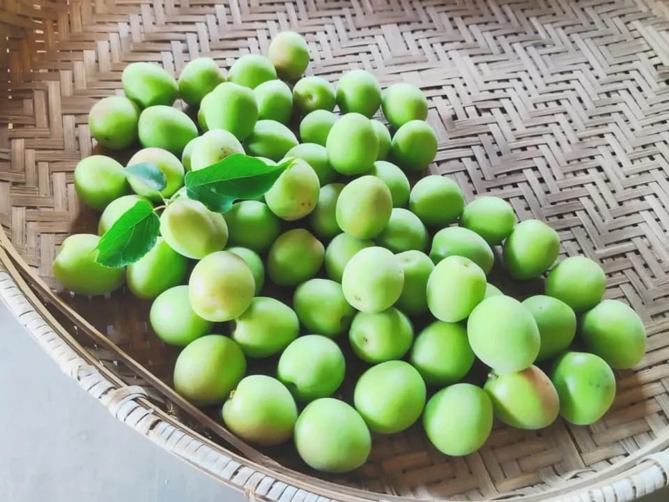 爽やかな酸味と香り　自然栽培 青梅１kg