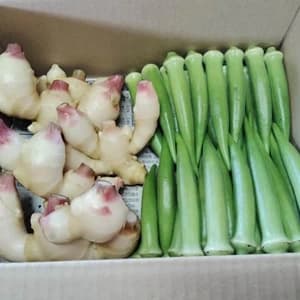 【数量限定】新生姜と丸オクラのセット　農薬不使用のレビュー