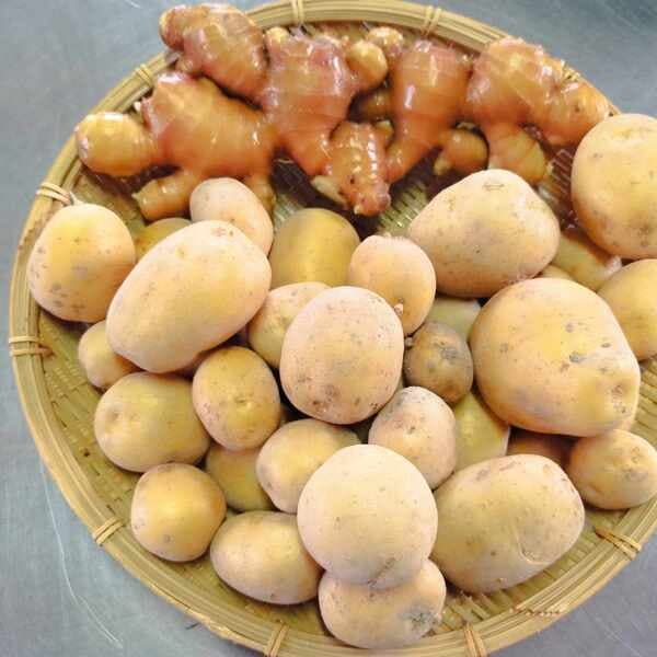 【おすすめセット】新じゃが１.５kg・生姜300g