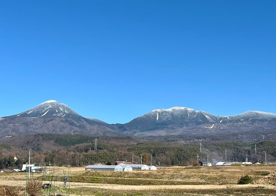 ２０２５クリスマスリース＊北八ヶ岳の森から＊ふわふわ綿雪と森の恵み仕立て
