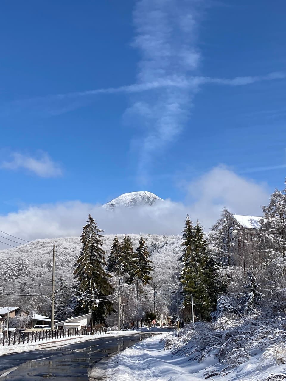 ２０２５クリスマスリース＊北八ヶ岳の森から＊ふわふわ綿雪と森の恵み仕立て