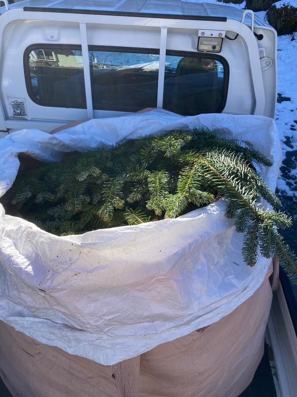 ２０２５クリスマスリース＊北八ヶ岳の森から＊ふわふわ綿雪と森の恵み仕立て