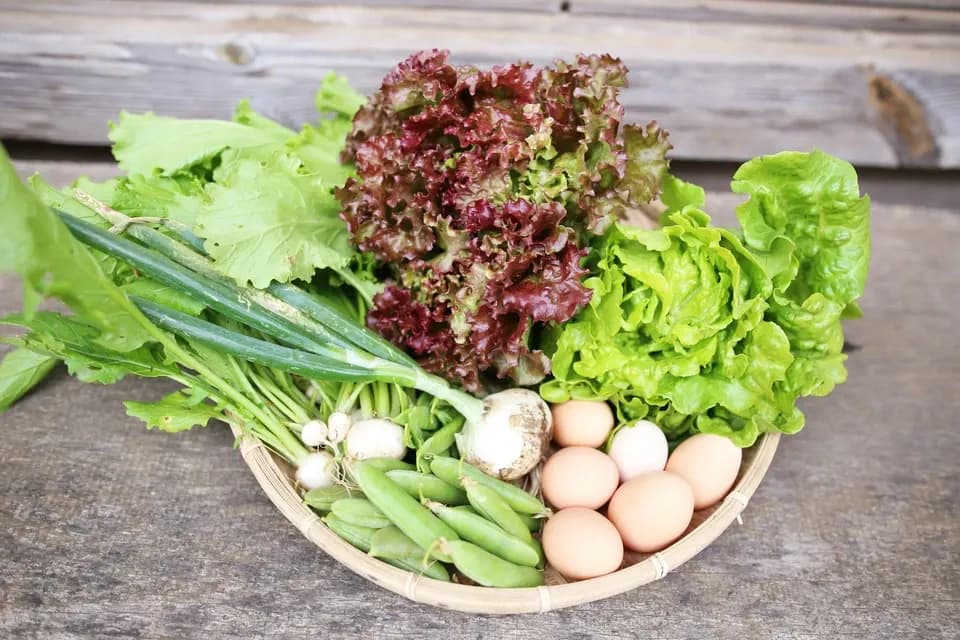 【固定種・在来種】 本当の旬をお届け！滋味溢れる野菜セット 無農薬・無化学肥料