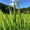 サムネイル 10