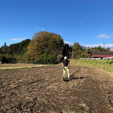 ゆうはる太麺在庫切れです。