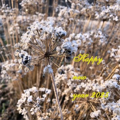 謹賀新年　今年も宜しくお願い致します。