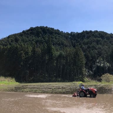 今年も無事田植えを終えました。