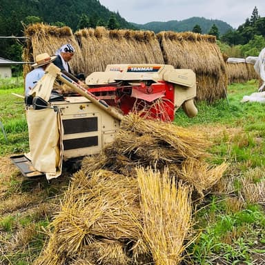 草取りに追われた６月